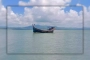 এবার ৪ জনকে ধরে নিয়ে গেল আরাকান আর্মি