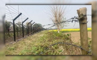 মহেশপুর সীমান্তে বিএসএফের গুলি, বাংলাদেশি কৃষক আহত