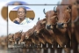 ‘এবার কোরবানির জন্য পশু আমদানি করা হবে না’