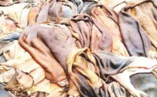 কোরবানির চামড়ার ন্যায্য মূল্য নিশ্চিতে উচ্চ পর্যায়ের কমিটি গঠনের নির্দেশ