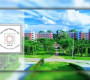 বেরোবিতে রাজনীতি নিয়ে কঠিন সিদ্ধান্ত