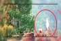 ‘সাদা পতাকা উড়িয়ে আত্মসমর্পণ করেছে ভারত’
