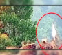 ‘সাদা পতাকা উড়িয়ে আত্মসমর্পণ করেছে ভারত’
