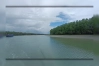 নদীপথে ৬২ ভারতীয়কে বাংলাদেশে ঢোকালো বিএসএফ