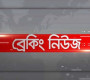 ভারত-পাকিস্তানের মধ্যে যুদ্ধবিরতি