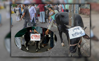 শাহবাগে আওয়ামী লীগ নেতাদের নামে গরু-ছাগল জ-বা-ই