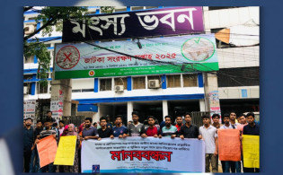 ঢাবির মৎস্য বিজ্ঞান বিভাগের শিক্ষার্থীদের মানববন্ধন