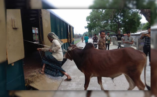 ঈদে পশু পরিবহনে চলবে ৩ স্পেশাল ট্রেন