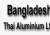 বিডি থাই অ্যালুমিনিয়ামের লোকসান বেড়েছে