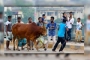 যাদের সঙ্গে কোরবানি দিলে কবুল হবে না– কারণগুলো কী?