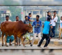 যাদের সঙ্গে কোরবানি দিলে কবুল হবে না– কারণগুলো কী?