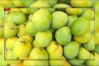 নতুন দুয়ার উন্মোচন; চীনে যাচ্ছে ৫০ টন আম