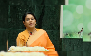 ডিসেম্বর থেকে জুনের মধ্যে নির্বাচন: রিজওয়ানা