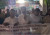 জাতীয় সরকারের দাবিতে উত্তাল ঢাকা বিশ্ববিদ্যালয়