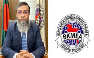 স্থলবন্দর নিষেধাজ্ঞা তিন মাস স্থগিতের দাবি, সরকারকে বিকেএমইএর চিঠি