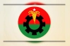 বিএনপি সমাধান দেখছে দ্রুত নির্বাচনী রোডম্যাপেই