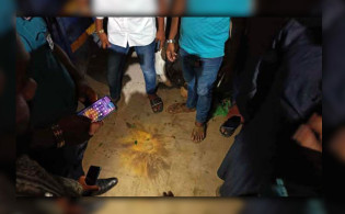 রাজধানীর বৃক্ষমেলায় ক’কটেল বি-স্ফো-রণ