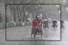 টানা বৃষ্টির পূর্বাভাস দিল আবহাওয়া অফিস