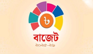বাজেটে থাকছে কালো টাকা সাদা করার সুযোগ 
