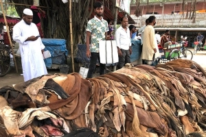 কোরবানি চামড়ার সর্বনিম্ন দাম নির্ধারণ