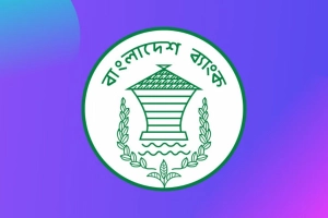 লুটপাটে ক্ষতিগ্রস্ত ব্যাংকগুলো সরকারি নিয়ন্ত্রণে যাচ্ছে