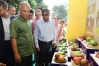 যুক্তরাষ্ট্রসহ পাঁচ দেশে আম রপ্তানি শুরু