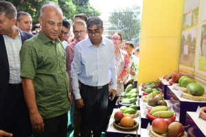 যুক্তরাষ্ট্রসহ পাঁচ দেশে আম রপ্তানি শুরু