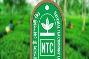 ন্যাশনাল টি: প্লেসমেন্ট শেয়ার সাবস্ক্রিপশনের মেয়াদ ফের বৃদ্ধি