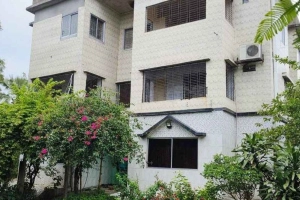 অতিরিক্ত ডিআইজির বাসায় ডা-কা-তি