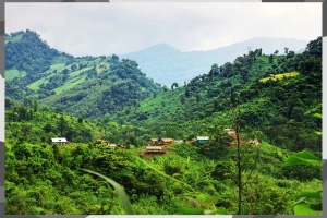বান্দরবানের ৬০ পর্যটন রিসোর্ট বন্ধ ঘোষণা