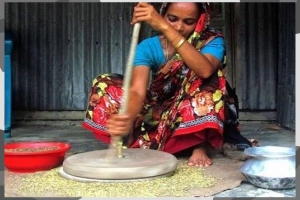 নারীদের গৃহস্থলীর কাজকে জিডিপিতে অন্তর্ভুক্তির পরিকল্পনা