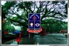১১ দিনের ছুটিতে ঢাকা বিশ্ববিদ্যালয়