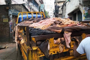 এবারও ভেঙে পড়েছে কাঁচা চামড়ার বাজার