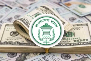 ঢাকা জেলায় রেমিট্যান্স আসে ৪৯%, বাকি জেলার যা অবস্থা