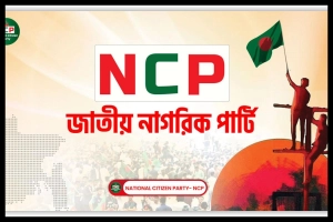 ক্রাউড ফান্ডিংয়ে যত টাকা পেল এনসিপি