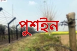 সীমান্তে বিএসএফের আবারো পুশইন