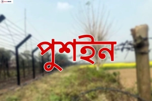 সীমান্তে বিএসএফের আবারো পুশইন