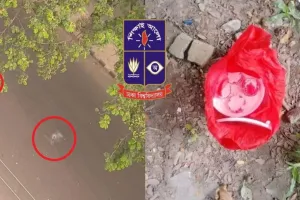ঢাবিতে হটাৎ ছাত্রলীগের বিক্ষোভ, ককটেল বি-স্ফো-র-ণ
