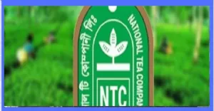 আর্থিক প্রতিবেদন প্রকাশে তিন মাস সময় চেয়েছে ন্যাশনাল টি