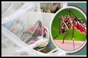 ঢাকার পাশাপাশি ডেঙ্গুর উচ্চঝুঁকিতে ৩ জেলা