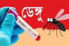২৪ ঘণ্টায় ডেঙ্গুতে আক্রান্ত ৩৯২, মৃত্যু ২