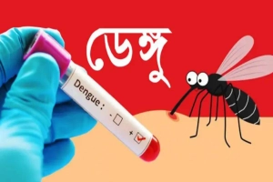 ২৪ ঘণ্টায় ডেঙ্গুতে আক্রান্ত ৩৯২, মৃত্যু ২