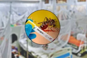 একদিনে রেকর্ড সংখ্যক ডেঙ্গু রোগী ভর্তি