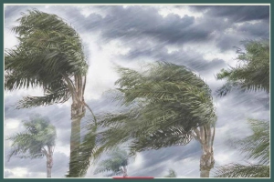 তীব্র ঝড়ের শঙ্কা, ১১ জেলায় সতর্ক সংকেত