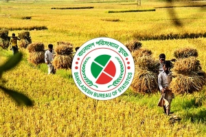 দেশের ৫৬ শতাংশ কৃষিজমি এখনও টেকসই ব্যবহারের বাইরে: বিবিএস