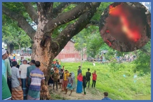 শতবর্ষী গাছের ভেতরে জ্বলছে রহস্যজনক আগুন, এলাকায় চাঞ্চল্য