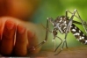 ডেঙ্গুতে একজনের মৃত্যু, হাসপাতালে ৪১৬