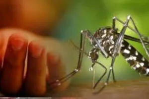 ডেঙ্গুতে একজনের মৃত্যু, হাসপাতালে ৪১৬