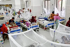 এক দিনে ডেঙ্গুতে হাসপাতালে ভর্তি ২০৪