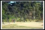 পশ্চিমবঙ্গের দম্পতিকে বাংলাদেশে পুশইন! পরিবারের অন্যদের হুমকি
